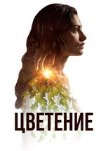 Постер - Цветение