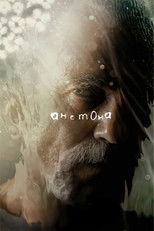 Постер - Анемона