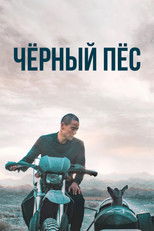 Постер - Чёрный пёс