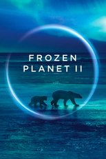 Постер - BBC: Замерзшая планета 2