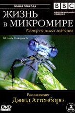 Постер - BBC: Жизнь в микромире