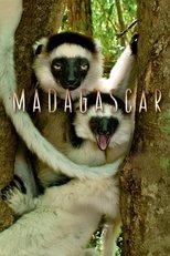 Постер - Мадагаскар