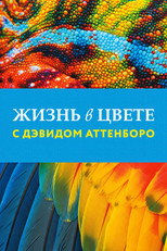 Постер - Жизнь в цвете с Дэвидом Аттенборо