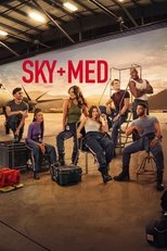 Постер - Летучие медики