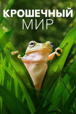 Постер - Крошечный мир