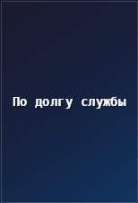 Постер - По долгу службы